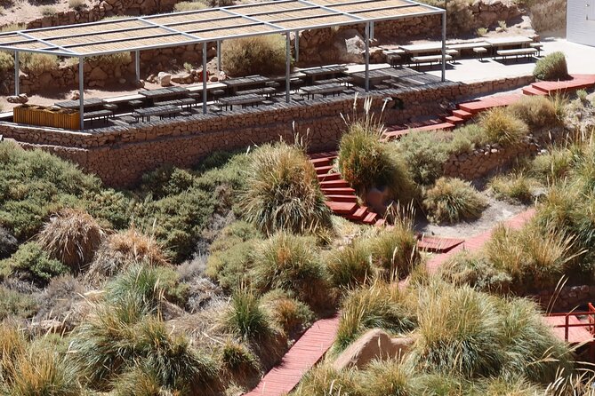 Puritama Hot Springs Experience with Transfer and Entrance - Service, timing, and the practical details