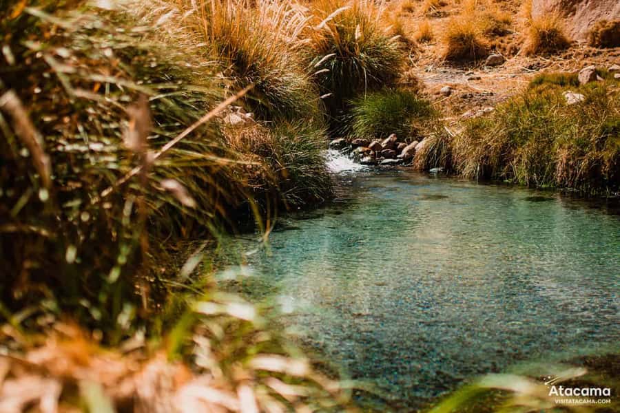 Puritama Hot Springs - Tour : San Pedro de Atacama - Chile - A Light Lunch and What to Clarify