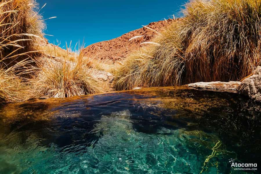 Puritama Hot Springs - Tour : San Pedro de Atacama - Chile - Practical Booking Advice for Puritama