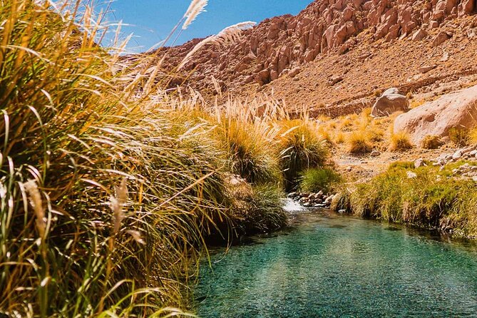 Puritama Hot Springs Tour with Tickets - The Canyon Setting and Fox Tails