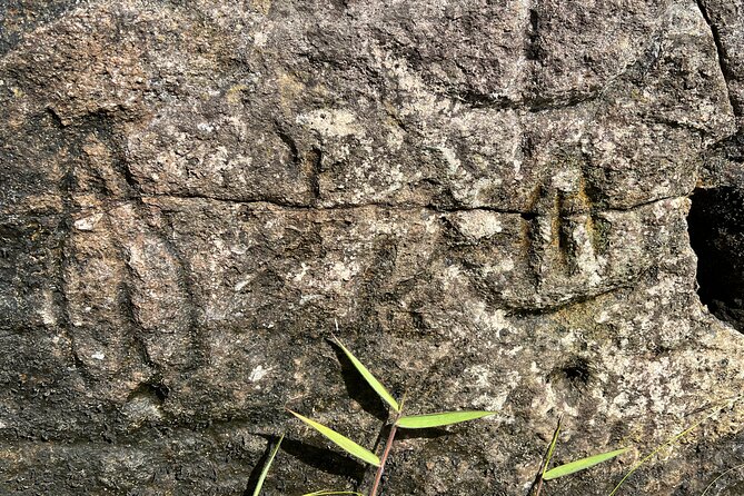 R3-THE RAPA NUI PENINSULA (non-cruise visitors) - Why Poike Peninsula feels different from the famous Rapa Nui sights