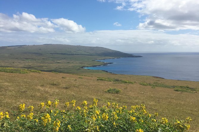 R3-THE RAPA NUI PENINSULA (non-cruise visitors) - Papa Ui Hetuu and the Pleiades carving