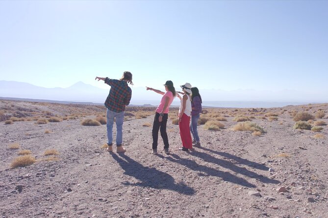 Rainbow Valley and Petroglyphs of Yerbas Buenas - Who Should Book This Half-Day Excursion