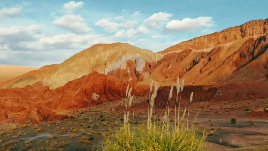 Rainbow Valley Tour: Mesmerizing Colors and Flavors - Leaving San Pedro for the high desert