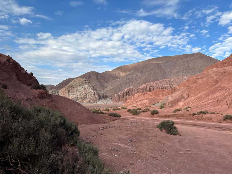 Rainbow Valley Tour + Petroglyphs (Yerbas Buenas) - Key points at a glance