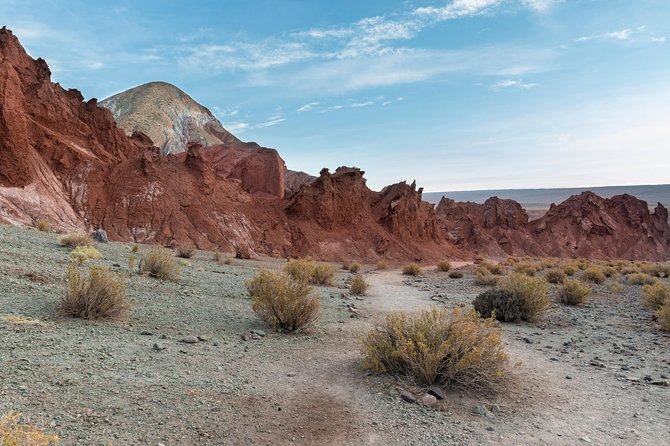 Rainbow Valley Tour, Yerbas Buenas Petroglyphs - Half Day Tour - Who will enjoy this half-day outing