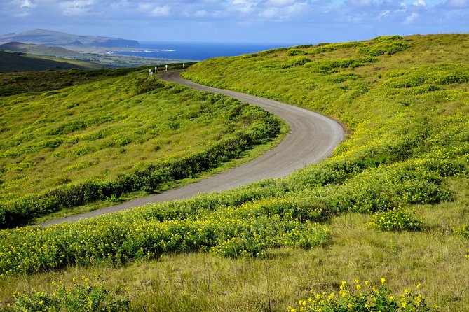 Rano Kau and Orongo: Half Day Private Tour - Is $250 per person a fair price?