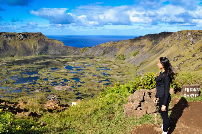 Rano Kau and Orongo: Half Day Private Tour - Who will get the most from this experience?