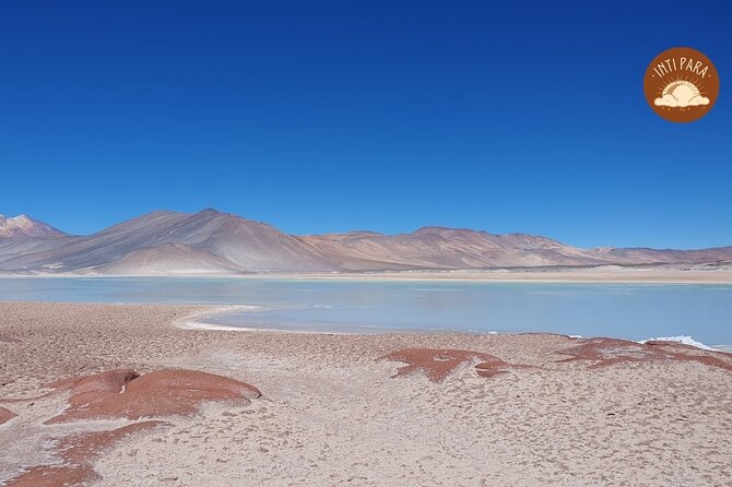 Red Stones and Altiplanic Lagoons - Why this Atacama day trip works