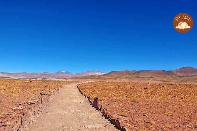 Red Stones and Altiplanic Lagoons - Chaxa Lagoon and the salt flat views