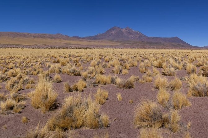 Red Stones and Altiplanica Lagoons Salar de Atacama - Altitude, walking, and who should take care
