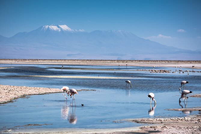 Red Stones and High Plains Tour from San Pedro - Key points to know before you book