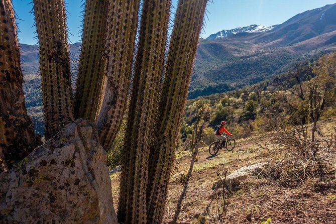 Rent an Electric Mountain Bike in Santiago to ride in a Bike Park - From Santiago’s foothills to the RKF Durazno trails