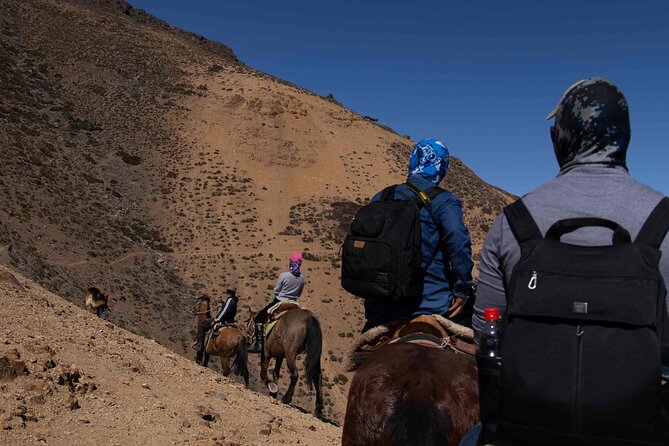 Ride in the semi-private Andes with roast - Key points to know before you go