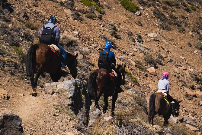 Ride in the semi-private Andes with roast - Returning to Villa Paulina through the mountain quiet