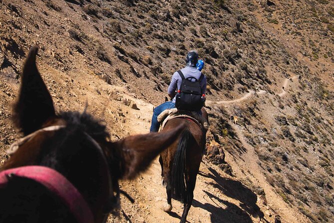 Ride in the semi-private Andes with roast - What the $270 price really means