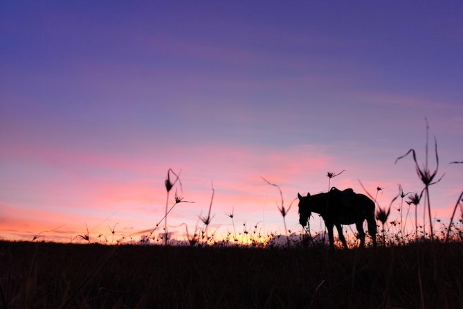 Ride to the highest point on the island for sunset - Climbing Maunga Terevaka through open pasture