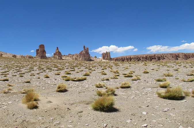 Route of the Andean salt flats - Hot waters for a slower middle stop