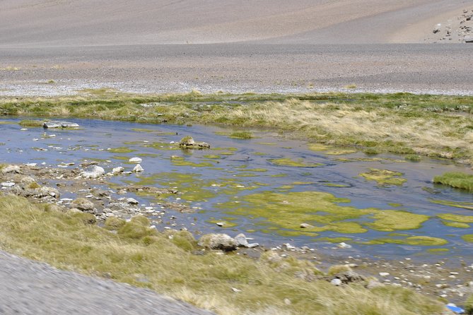 Route of the Andean salt flats - The Andean salt flats near Bolivia