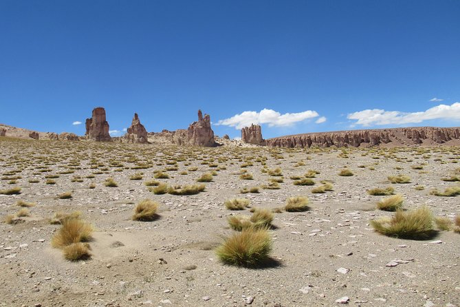 Route of the Andean salt flats - The guide and the cultural side of the day