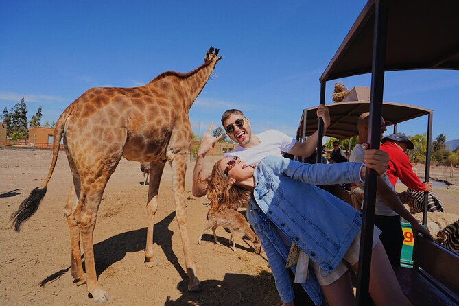 Safari Park - Key Points to Know Before You Go