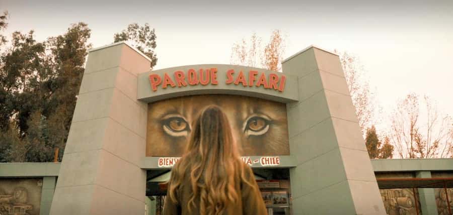 SAFARI PARK-TOUR RANCAGUA : CHILE - Entering the park and setting the right expectations