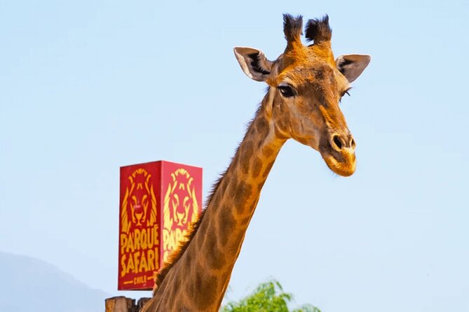 Safari Park, Wild Experience - Starting with a Chilean countryside breakfast