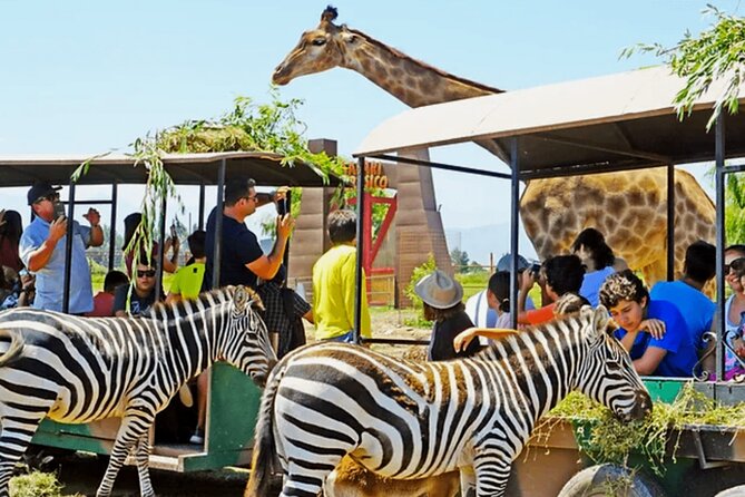 Safari Park, Wild Experience - The Jurassic Safari: more playful than scientific