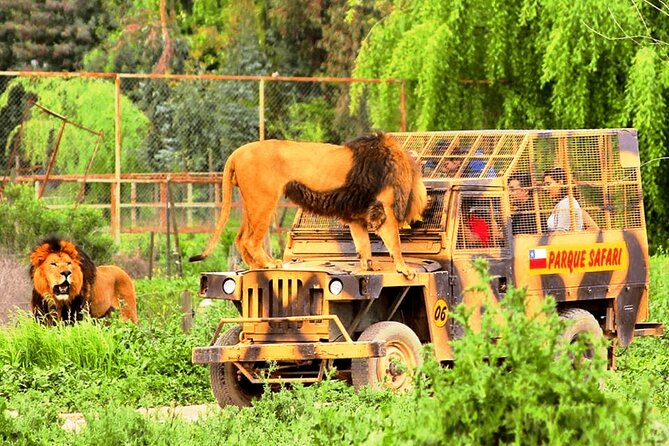 Safari Park, Wild Experience - Is $111 a fair price?