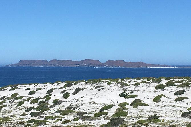 Sailing and Hiking Isla Damas : Humboldt Penguin Reserve - Key points before you book