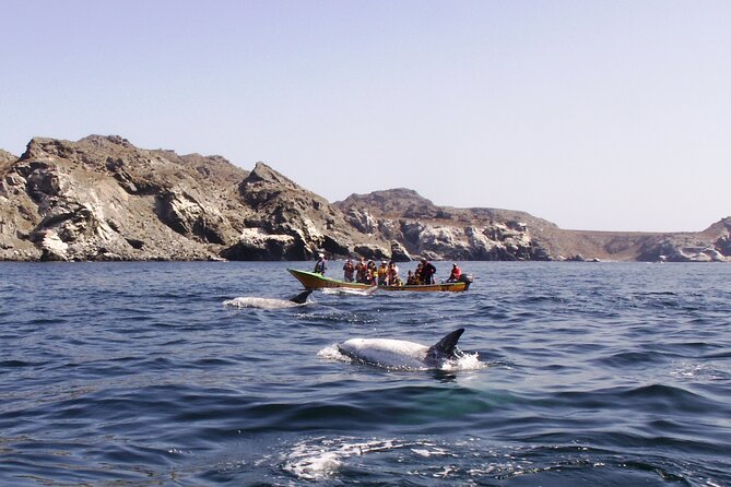 Sailing and Hiking Isla Damas : Humboldt Penguin Reserve - The boat ride around Choros Island