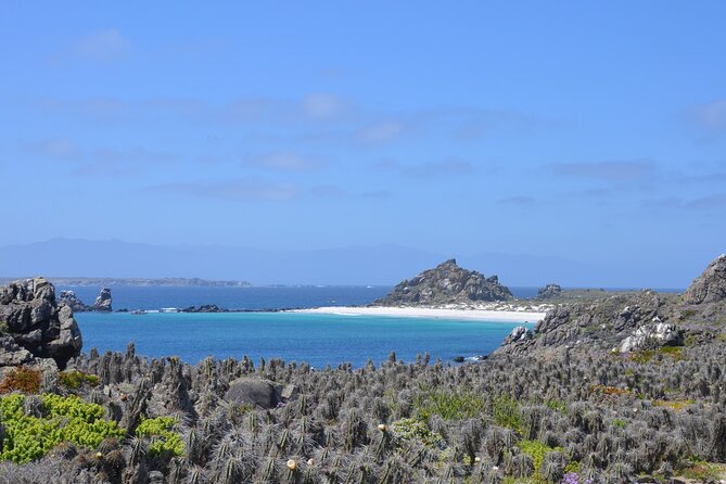 Sailing and Hiking Isla Damas : Humboldt Penguin Reserve - The guides and English service