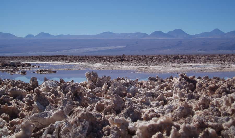 Salar de Atacama and altiplanic lagoons - High in the Andes at Miscellanea and Miñiques