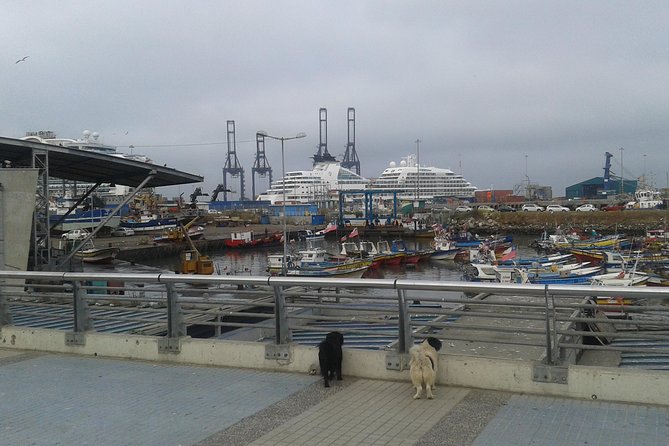 San Antonio Port to Santiago Airport or Hotel Private Transfer - What happens at the port pickup