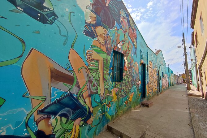San Antonio to Valparaiso Private Tour with Santiago Drop Off - Guide quality, vehicle, and overall value