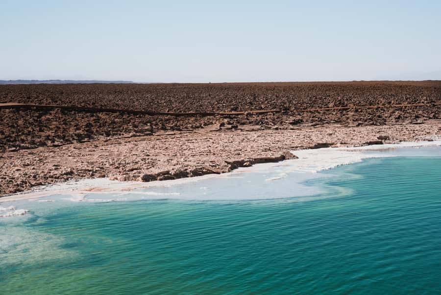 San Pedro Atacama: Baltinache Lagoons - Key points to know before booking
