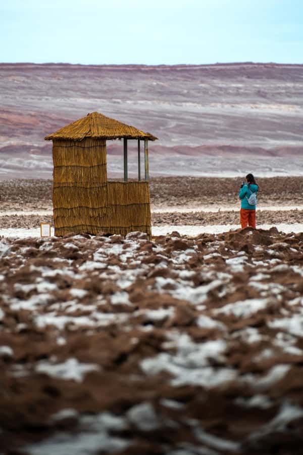 San Pedro Atacama: Baltinache Lagoons - Who will enjoy Baltinache most?