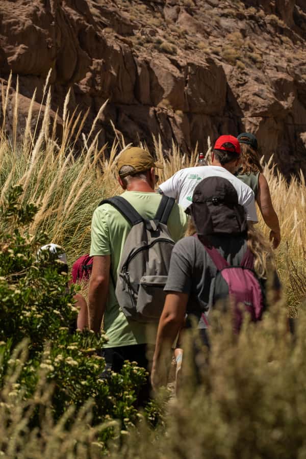 San Pedro de Atacama: Canyon Swimming Pools Trekking Trip - Walking through the Puritama River canyon