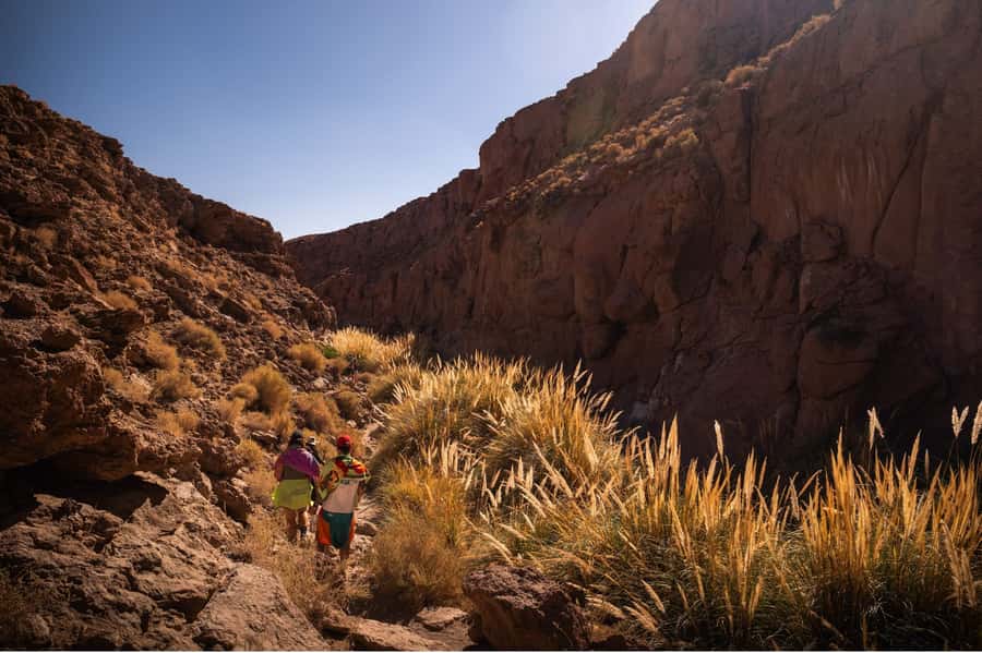 San Pedro de Atacama: Canyon Swimming Pools Trekking Trip - Reaching Purilibre’s natural pools