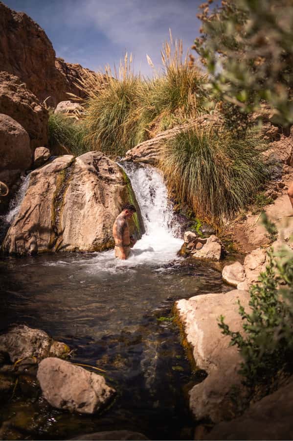 San Pedro de Atacama: Canyon Swimming Pools Trekking Trip - A closer look at the desert plants and cacti