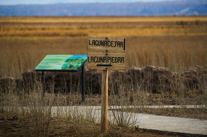 San Pedro de Atacama Cejar Lagoon - Laguna Tebenquinche: the best stop for walking and a picnic