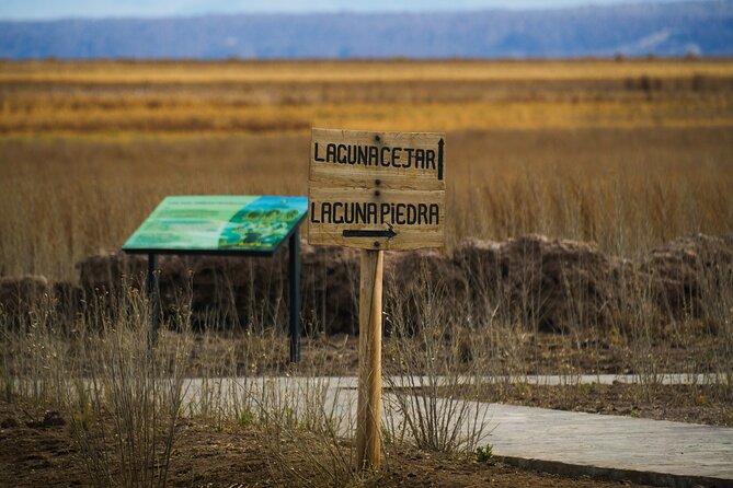 San Pedro de Atacama Cejar Lagoon - Who should book this afternoon outing