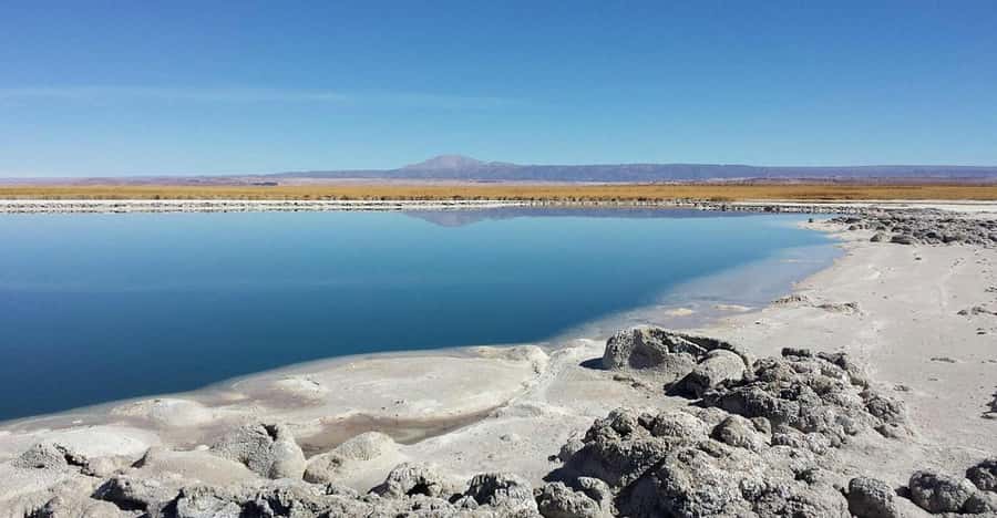San Pedro de Atacama: Cejar Lagoon, Tebenquiche & Ojos Salar - Key points to know before booking