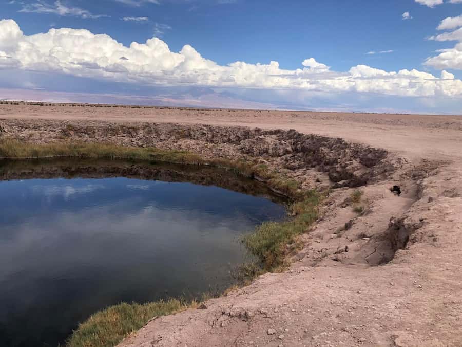 San Pedro de Atacama: Cejar Lagoon, Tebenquiche & Ojos Salar - Seeing the two Ojos del Salar sinkholes
