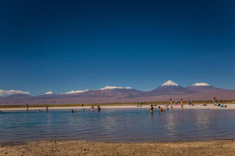 San Pedro de Atacama: Cejar Lagoon, Tebenquiche & Ojos Salar - Floating at Cejar Lagoon