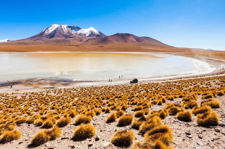 San Pedro de Atacama Day Trip: Atacama Desert and Salt Flats - Key points to know before booking