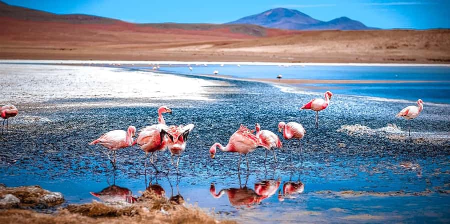 San Pedro de Atacama Day Trip: Atacama Desert and Salt Flats - Leaving San Pedro for Lickancabur Volcano