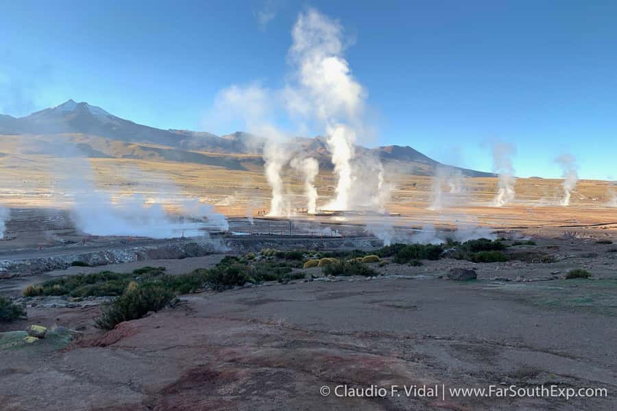 San Pedro de Atacama: El Tatio Geyser Field and Wetlands - Watching El Tatio Wake Up