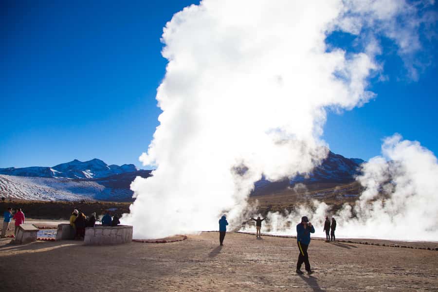 San Pedro de Atacama: El Tatio Geysers Tour - Putana Valley, flamingos, and high-altitude wildlife