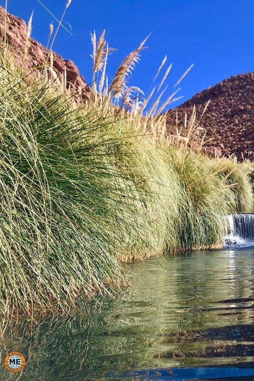 San Pedro de Atacama: Puritama Hot Springs - Key things to know before booking